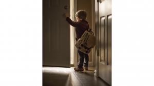 Նյութի նկարը